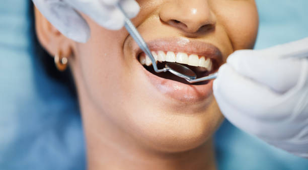 Best Urgent Dental Care  in Dland, MI