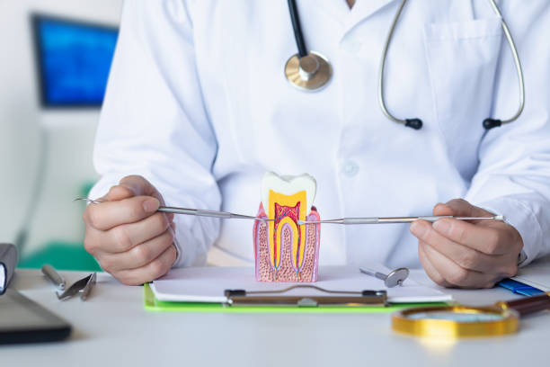 Best Urgent Dental Care  in Dland, MI